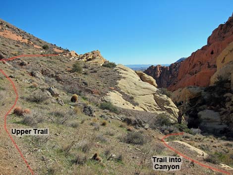 Calico Hills Loop Trail