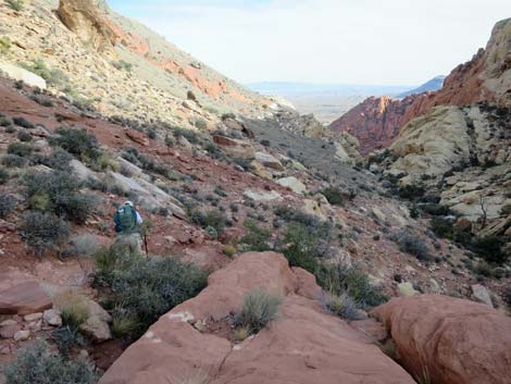 Calico Hills Loop Trail