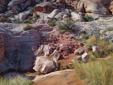 Calico Basin Trail