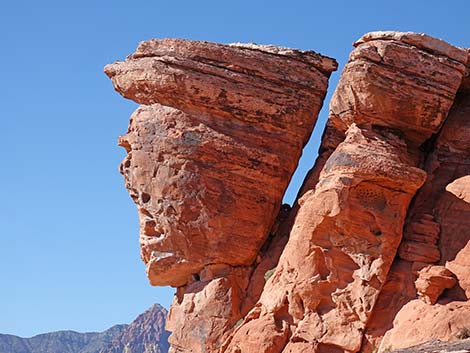 Calico Basin Overlook Trail