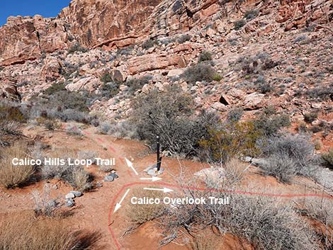 Calico Basin Overlook Trail