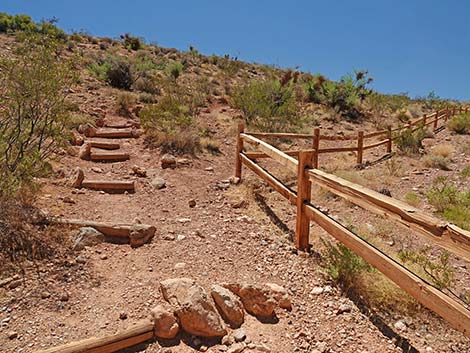 Calico Basin Overlook Trail