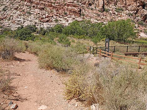 Calico Basin Overlook Trail