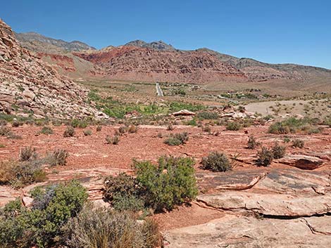 Calico Basin Overlook Trail