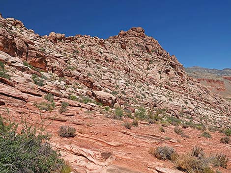 Calico Basin Overlook Trail