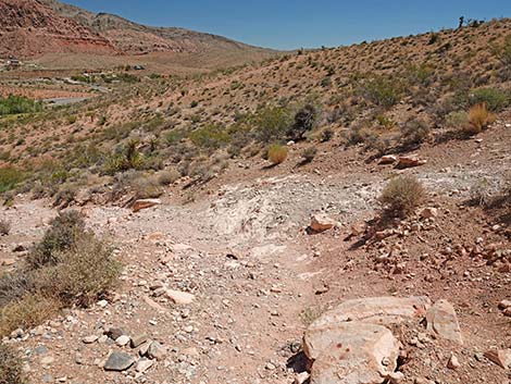 Calico Basin Overlook Trail