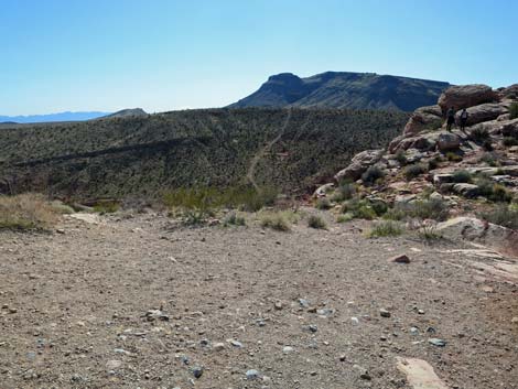 Calico Hills Loop Trail