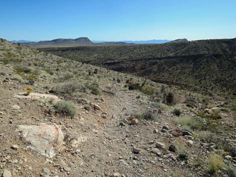 Calico Hills Loop Trail