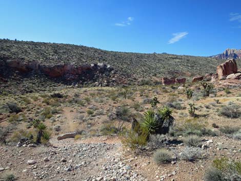 Calico Basin Overlook Trail