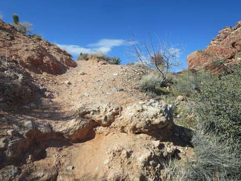 Calico Wash Trail