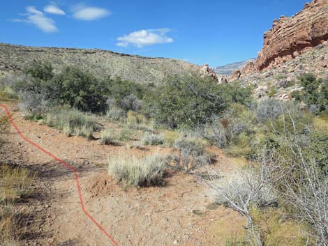 Calico Basin Overlook Trail