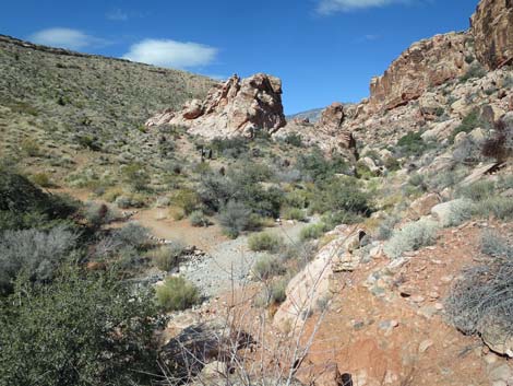 Calico Wash Trail