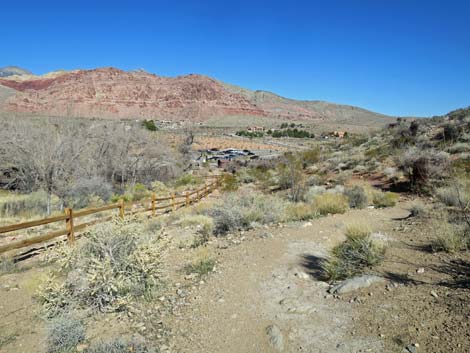 Calico Basin Overlook Trail