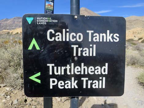 Calico Tanks Trail