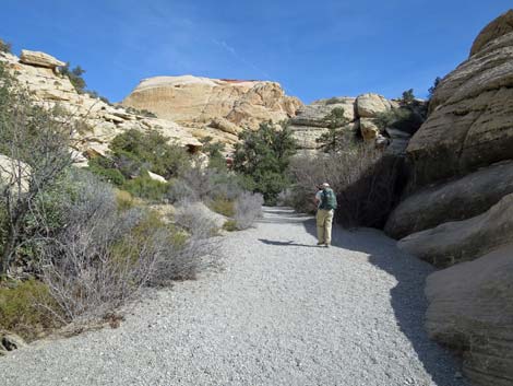 Calico Tanks Trail