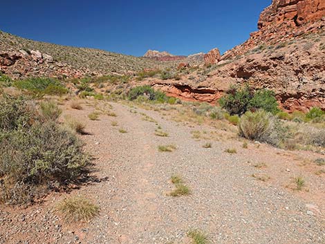 Calico Wash Trail