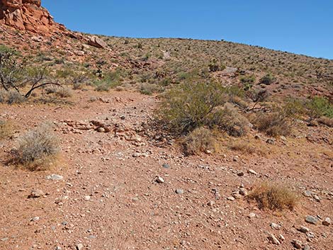 Calico Wash Trail