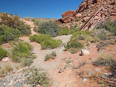 Calico Wash Trail