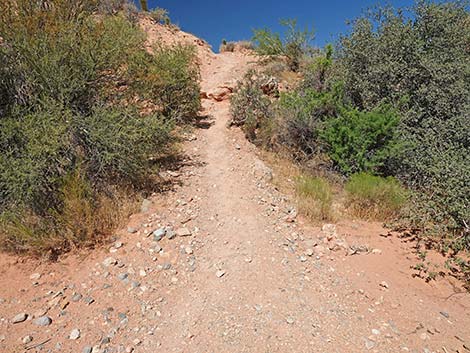 Calico Wash Trail