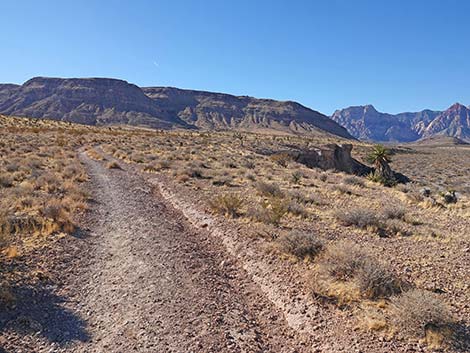 Fire Station Hill Trail