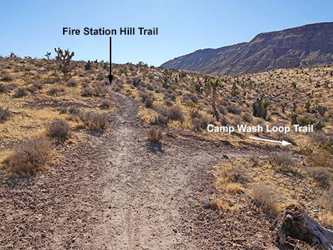 Fire Station Hill Trail