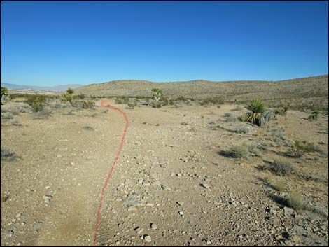 Campground Flats Loop Trail