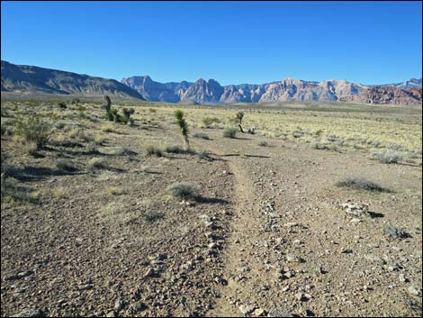 Campground Flats Loop Trail