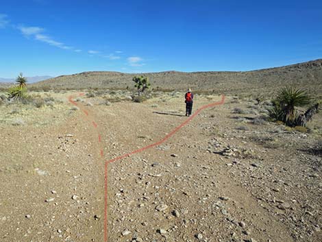 Gun Range Ridge Loop