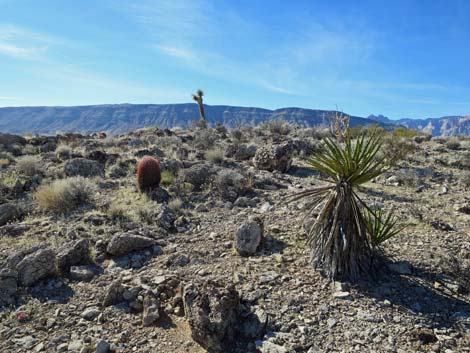 Campground Knoll