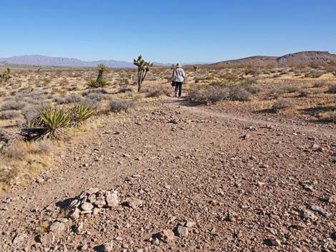 Fire Station Hill Trail