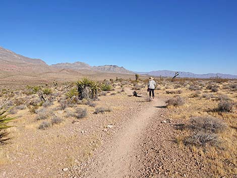 Fire Station Hill Trail