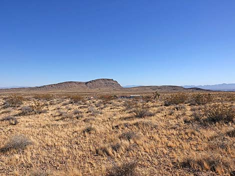 Fire Station Hill Trail