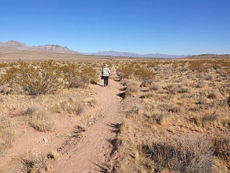 Fire Station Hill Trail