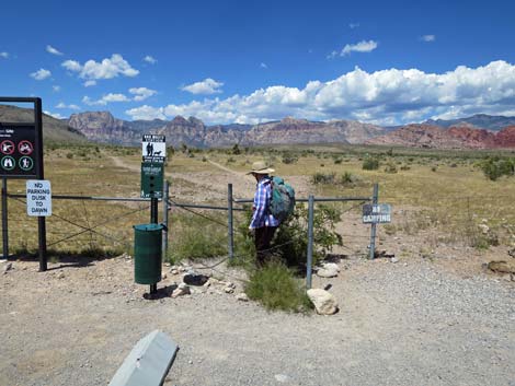 Campground Wash Trail