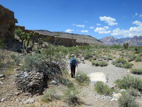 Campground Wash Trail