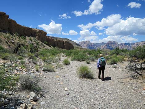 Campground Wash Trail