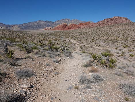 Entrance Station to Calico Basin Trail