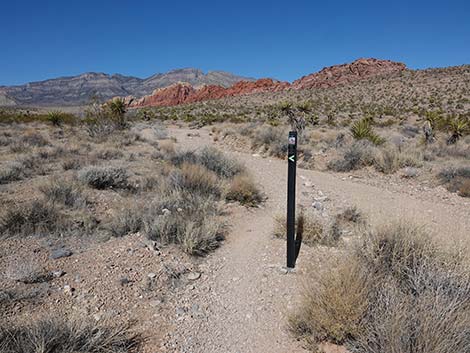 Entrance Station to Calico Basin Trail