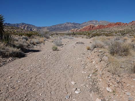 Entrance Station to Calico Basin Trail