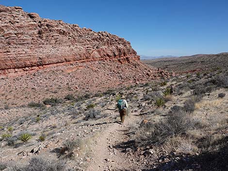 Entrance Station to Calico Basin Trail