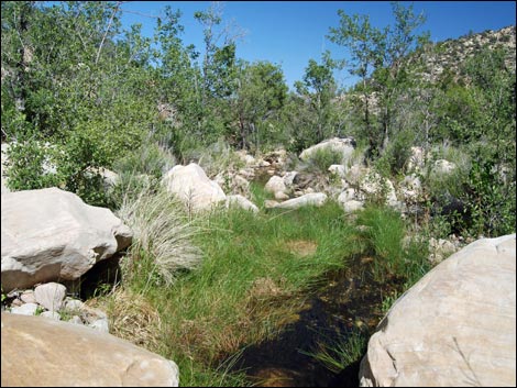 Escarpment Route