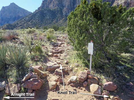 Knoll Trail