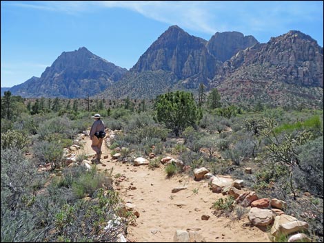 Fire Ecology Trail