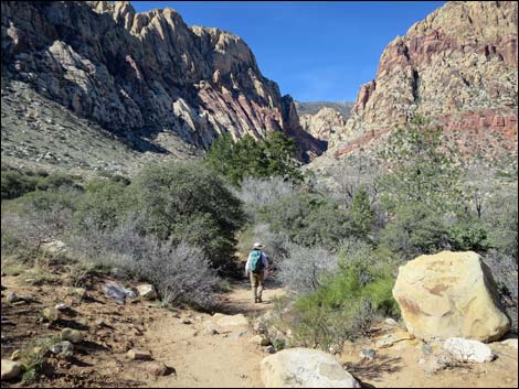 First Creek Canyon