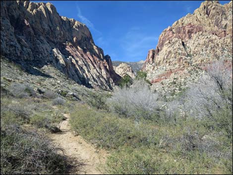 First Creek Canyon