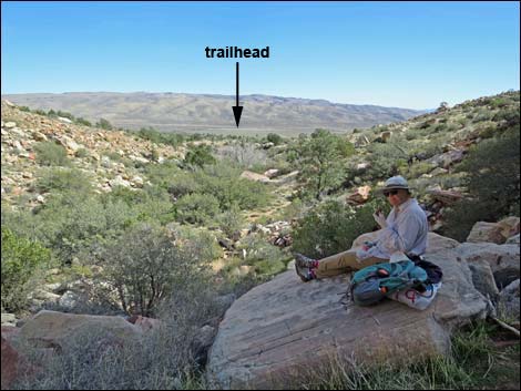 First Creek Canyon