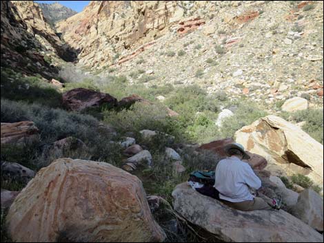 First Creek Canyon