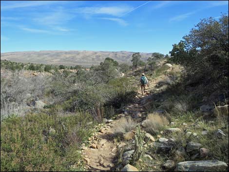 First Creek Canyon