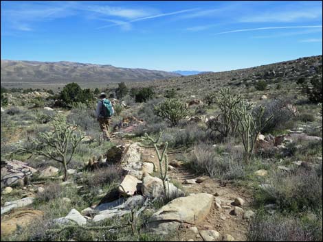 First Creek Canyon