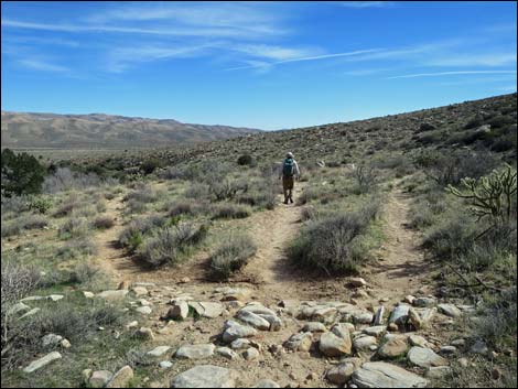 First Creek Canyon